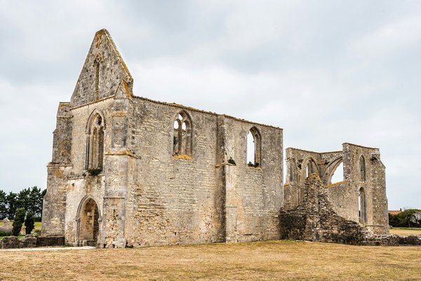 Top Techniques for Efficiently Managing Fleet Vehicles Across the UK: A Comprehensive Guide